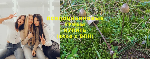 дурь Новодвинск
