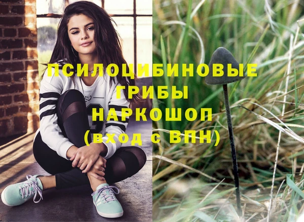 дурь Новодвинск