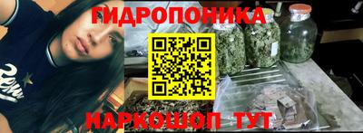 прущие крисы Аргун