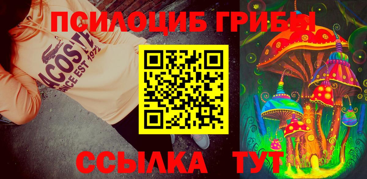 Псилоцибиновые грибы Magic Shrooms  Пятигорск  Галлюциногенные грибы ЛСД 