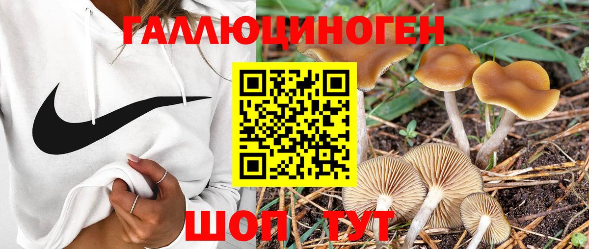 Пятигорск  сколько стоит  Вход с VPN  Галлюциногенные грибы Cubensis 