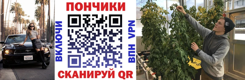 Шишки марихуана сатива  Пятигорск 